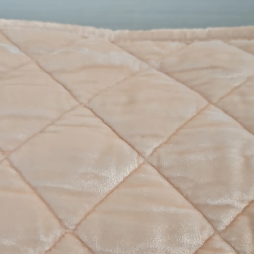 Pottery Barn Quilted Velveteen Champagne Pink King Pillow Sham